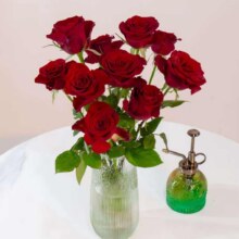 京东鲜花 产地仓严选玫瑰颜色家庭插花玫瑰10枝 鲜花次日达9.9元（需领券）