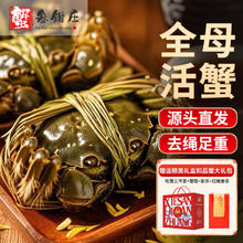 蟹叁钳庄 大闸蟹去绳足重1.5-1.8两 12只鲜活六月黄鲜活螃蟹水产礼盒源头直发 六月黄1.5-1.8两12只98元