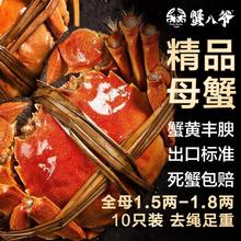 蟹八爷 大闸蟹全母1.5两-1.8两10只装 螃蟹鲜活现货海鲜生鲜礼盒98元