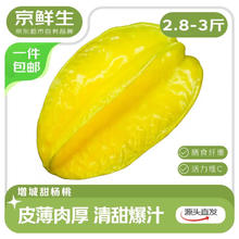 京鲜生 广东树熟杨桃 净重2.8~3斤装单果150g+券后16.9元