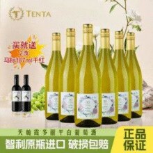 智利原瓶进口，Tenpa 天帕 霞多丽干白葡萄酒750mL*6瓶 赠马标干红187mL*2支￥198.00 1.5折