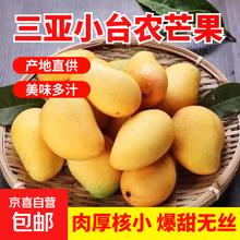 京喜加 三亚小台农芒果新鲜小台芒当季特产水果 轻微花皮半熟果 台芒1斤单果50-70克1元