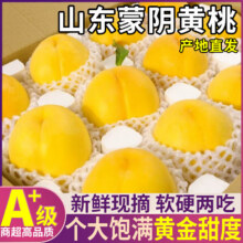 三萌果蔬正宗蒙阴黄桃 5斤手挑果【果农精挑】净重4.5斤15.9元（需领券）