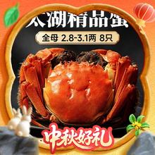 今日必买：湖塘煙雨 【活蟹】大闸蟹全母2.8-3.1两8只 现货礼盒装