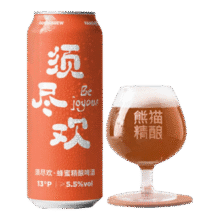 熊猫精酿啤酒精酿蜂蜜艾尔500ml比利时原浆啤酒整箱瓶装批发白啤果啤鲜啤 500mL 6瓶19.8元（需领券）