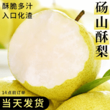 地标产品！京觅 砀山酥梨 净重4.5斤 6-9个 单果250g+￥16.90 7.7折