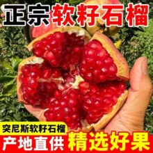 【头茬-爆甜】25年正宗会理突尼斯软籽石榴 单果 200g+ 5斤带箱(净重4.5斤)9.6元