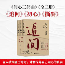 《丁捷问心三部曲》（全3册） 真实反腐警示录
