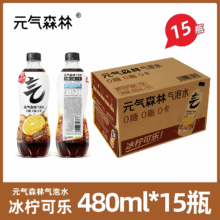 元气森林 混合口味气泡水 480ml*15瓶34.2元（需领券，合2.28元/瓶）