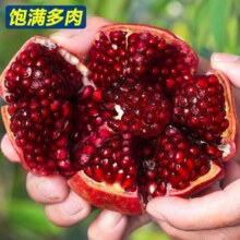 裕琼石榴 突尼斯软籽石榴 5斤大果单果300-350g净重4.5斤14.9元