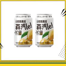 森汽了 郁南黄皮果汁气泡饮330ml*2罐券后2.9元