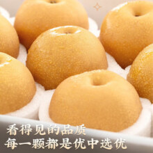 梓颐 山东莱阳秋月梨礼盒 5斤精挑商超级单果300g+净4.5斤14.9元（需领券）