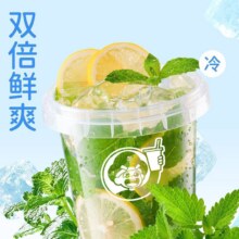 美团 益禾堂 【双倍鲜爽】薄荷柠檬水霸王桶5.9元（原价8元）