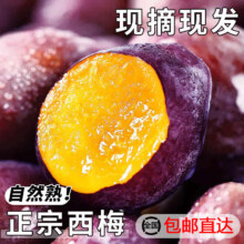 玖原农珍 正宗优选蓝密西梅 5斤净重4.5斤臻选装（单果30g+）20.9元（需领券）