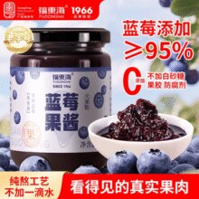 福东海果酱儿童无添加新鲜蓝莓果酱泥涂抹吐司面包烘焙原浆旗舰店￥23.40 1.4折