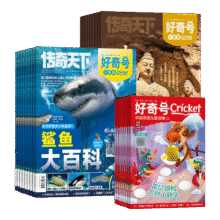 好奇号杂志 每月3册 2025年9月-2026年8月 1年共12期  6-12岁儿童科普 青少年中英双语Cricket Media少儿科普百科通识读物中文版 杂志铺 少儿阅读中小学生课外阅读 【跨年订169.92元