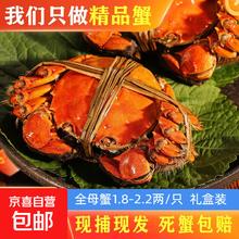 巴蟹人家 全母蟹1.8-2.2两/只 8只装 礼盒装