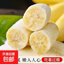 广西 小米蕉 1斤装 新鲜水果0.1元