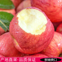 红富士苹果水果新鲜当季整箱应季冰糖心苹果现摘丑平果脆甜包邮 65mm（含）-70mm(不含) 3斤7.92元（需领券）