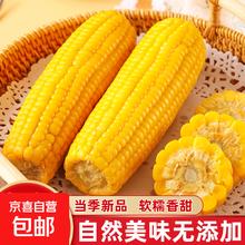 京喜 东北黄糯玉米 真空包装速食玉米 140g-180g 5根券后2.98元