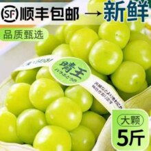 淘宝买菜 阳光玫瑰葡萄 晴王 净重5斤 大果 单果10-14g26.81元顺丰包邮（5.36元/斤）
