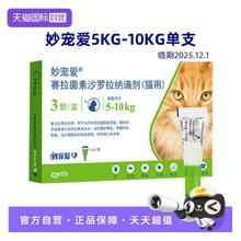 大宠爱 REVOLUTION 妙宠爱5kg–10kg肥猫体内外驱虫1支