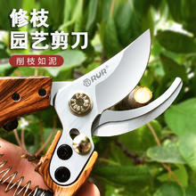 锐尔 剪枝果树修枝剪刀园艺园林修花枝剪家用强力剪子神器花剪剪枝剪刀券后3.8元
