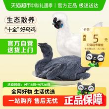 温氏 供港十全乌骨鸡1kg