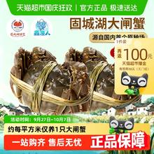 88VIP会员：鑫渔人 活蟹江苏南京固城湖大闸蟹螃蟹全母蟹鲜活精品蟹10只(2两母蟹)100.6元