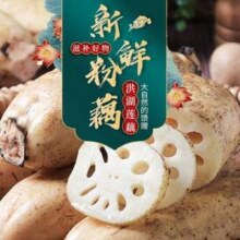 京鲜生 湖北洪湖莲藕 3斤(3-5节)新低15.9元包邮