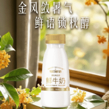 每日鲜语 3.6g蛋白 原生高品质鲜牛奶211ml*6瓶￥16.18