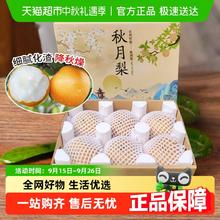 88VIP会员：喵满分 山东秋月梨羊脂梨子冰糖礼盒特大果新鲜水果6粒 4斤 单果250+
