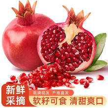 泓瀚 突尼斯软籽石榴5斤装 大果300g+（坏果包赔）18.9元