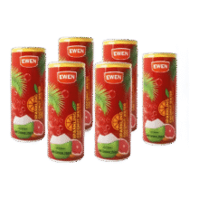 意文西柚椰子气泡水 250ml*6罐10.74元（需领券）
