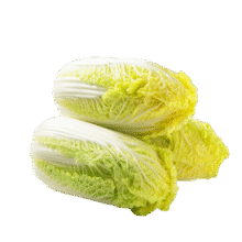 北菜园有机娃娃菜400g 有机新鲜蔬菜【进店多样加购】 火锅涮菜9.4元 (券后省0.8)