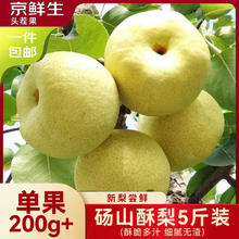 京鲜生 安徽砀山酥梨 5斤装 单果200g+券后14.8元