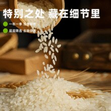 3标认证！珍稻悠选 五常大米真空包装 10斤￥25.41 6.6折