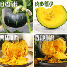 香甜粉糯！京鲜生 内蒙贝贝南瓜净重5斤 中果300g+￥10.76 比上一次爆料降低 ￥3