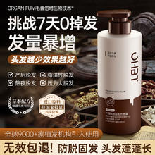 OHBT 防脱育发洗发水500g生姜侧柏叶