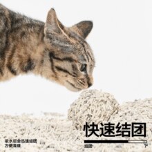 需要猫砂的速囤！Pidan 豆腐膨润土混合猫砂 2.4kg×4包￥31.94 3.4折