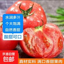 新鲜沙瓤大番茄 100g以上 4斤 带箱