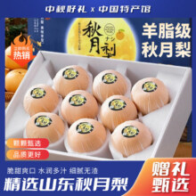 骑猴赶马 正宗莱阳秋月梨礼盒 净重4.5斤丨约10-12枚丨超值活动装12.9元（需领券）
