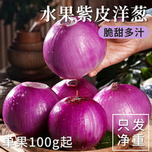 绿念 水果洋葱甜味生吃新鲜蔬菜不辣红皮大圆葱头批发整箱包邮云正宗南5斤1.02元