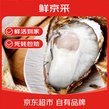 有券的上：鲜京采 生蚝净重5斤 5XL 9-12只左右 源头直发 露营烧烤券后33.41元