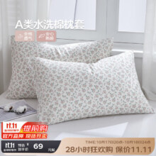 博洋（BEYOND）枕头套水洗棉枕套一对装家用48x74cm纯棉2025新款枕芯内胆套 A类水洗棉【明春可期】一对 48cm*74cm38元（需领券）