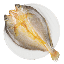 三都港背开三去黄花鱼300g/条宁德特产免杀大黄鱼生鲜冷冻海鲜烧烤夜宵 背开三去黄花鱼300g*1条49.9元