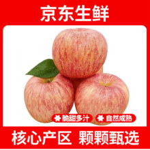绿水秦川 正宗陕西红富士苹果 中大果8.5-9斤净重装 单果约160g+28.4元