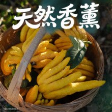 某东鲜花 佛手柑250-300g+高级树脂托盘+贺卡鲜切枝观赏套装￥28.90 10.0折