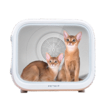 PLUS：小佩宠物烘干箱 猫咪自动吹干机 家用洗澡吹毛烘干神器狗狗吹风吹水 【60L】智能PRO款-活氧抑菌1169.07元（需领券）