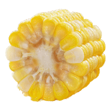 【云南高原玉米】现摘新鲜水果玉米新鲜甜玉米棒生鲜蔬菜可生吃 新鲜水果玉米 4斤 带箱 300g起4.94元（需领券）